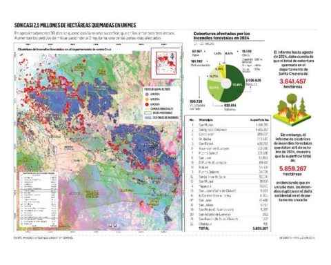 In just one month, almost 3 million hectares burned in Santa Cruz