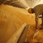 Industrialists deny accusations from poultry farmers about the supply of soybean meal