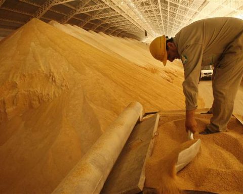 Industrialists deny accusations from poultry farmers about the supply of soybean meal