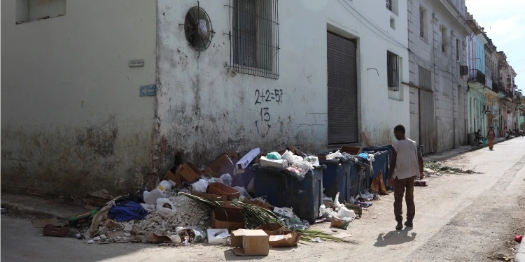 cubanet-cuba-insectos