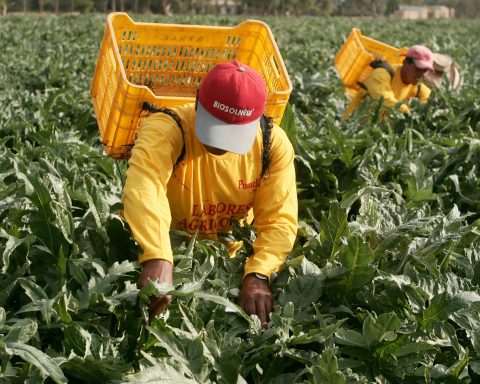 Agricultura