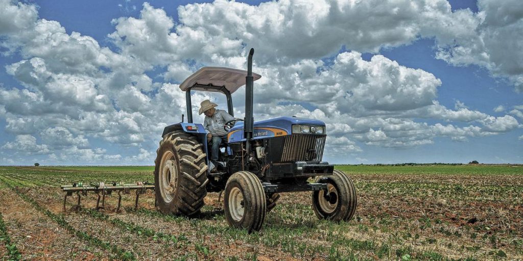 International Agroindustrial Forum highlights the export potential of the Mexican agricultural sector