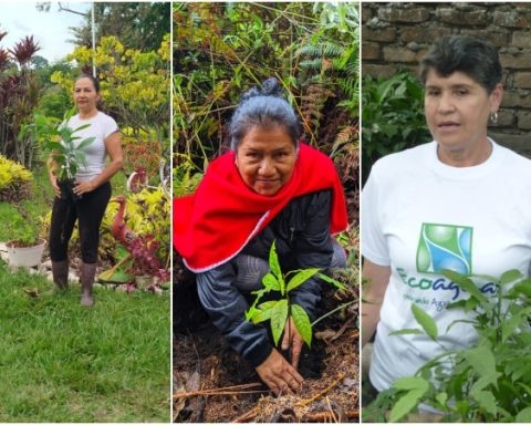 International Day of Rural Women: stories of transformation and the impact of nurseries in Colombia