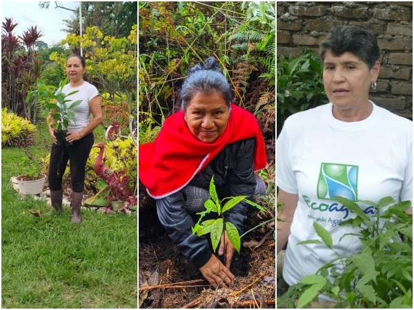 International Day of Rural Women: stories of transformation and the impact of nurseries in Colombia