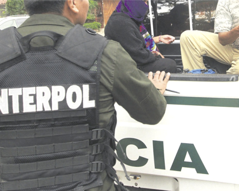 Interpol arrests Bolivian woman who had an international arrest warrant for drug trafficking