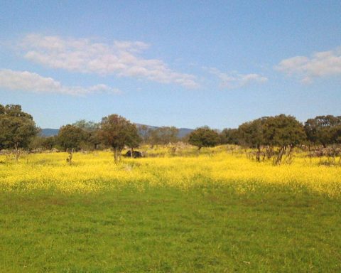 ¿Es seguro que RD aproveche sus tierras raras?