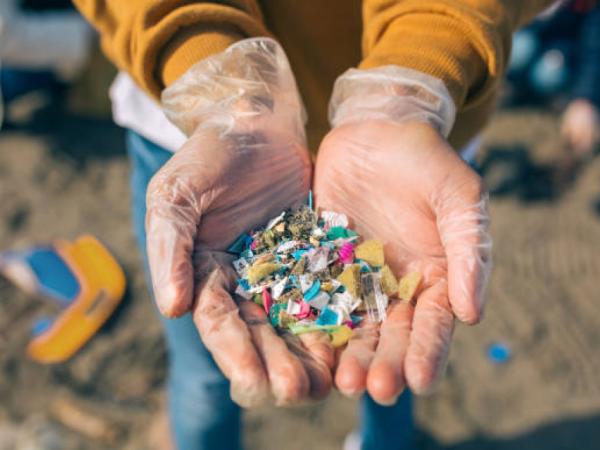 La Ciénaga Grande, in Magdalena, threatened by contamination with microplastics