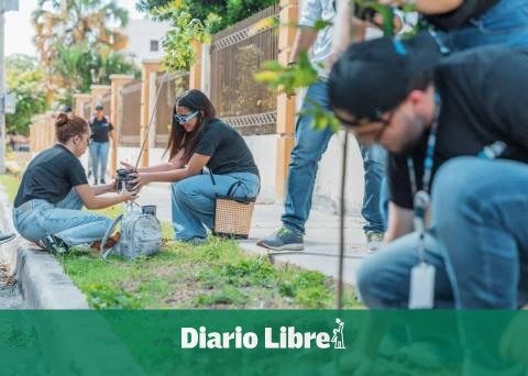 Mayor's Office plants trees in Ciudad Universitaria