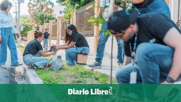 Mayor's Office plants trees in Ciudad Universitaria