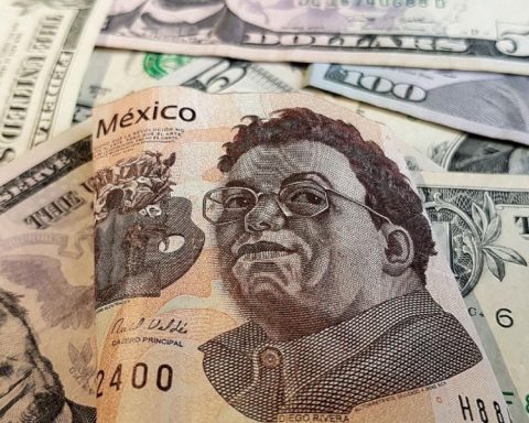 Mexican peso operates with profits and profiles first positive week in Sheinbaum's government