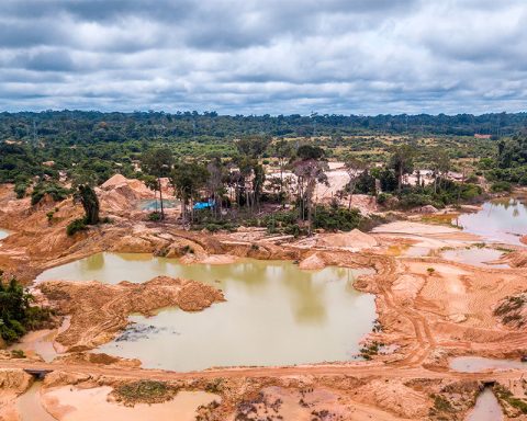 Military charges 16 grams of gold for allowing illegal mining in Amazonas, NGO denounces