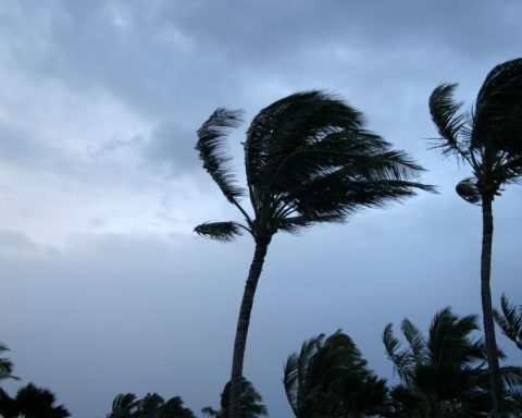 Milton escalates to Category 1 hurricane; Approaches the Yucatan Peninsula