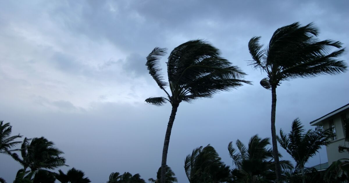 Milton escalates to Category 1 hurricane; Approaches the Yucatan Peninsula