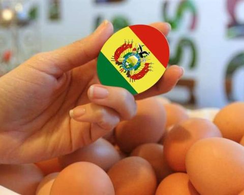 More than 8 million eggs per week are smuggled into Peru from Bolivia