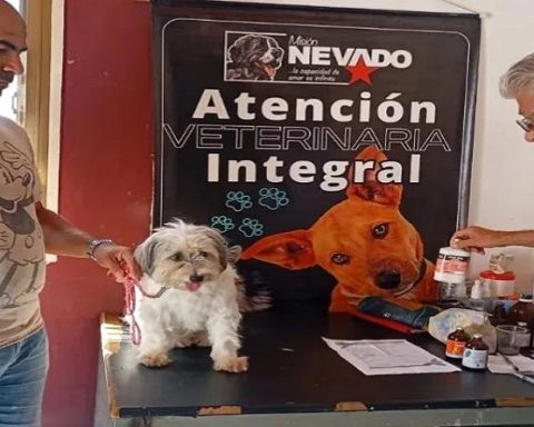 Misión Nevado realiza jornada nacional para atender a los animales con esterilización