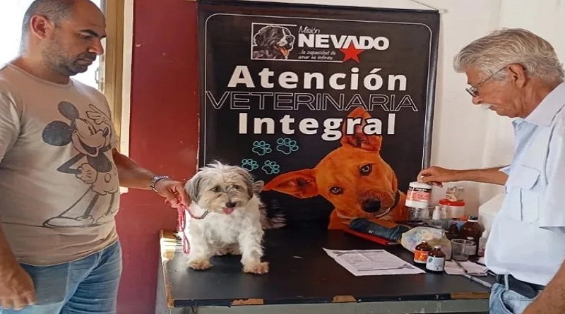 Misión Nevado realiza jornada nacional para atender a los animales con esterilización