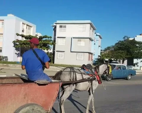 Feminicidio, Reparto San Pedrito, Santiago de Cuba