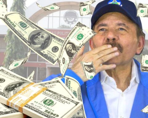 Nicaraguan economy is “excessively dollarized” but “de-dollarizing” cannot be forced, recommends economist