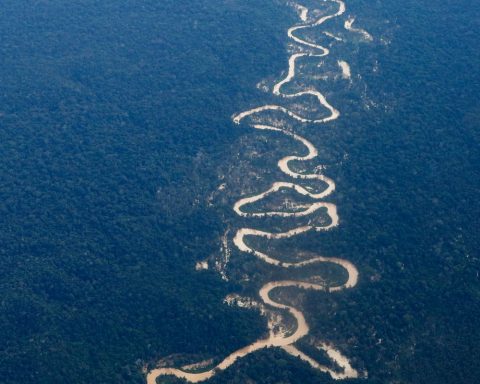 Operations resulted in the opening of mining sites in the Yanomami TI, says the Civil House