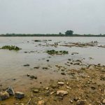 Paraguay River records historic low in driest year in Pantanal