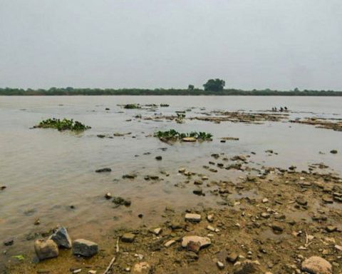 Paraguay River records historic low in driest year in Pantanal