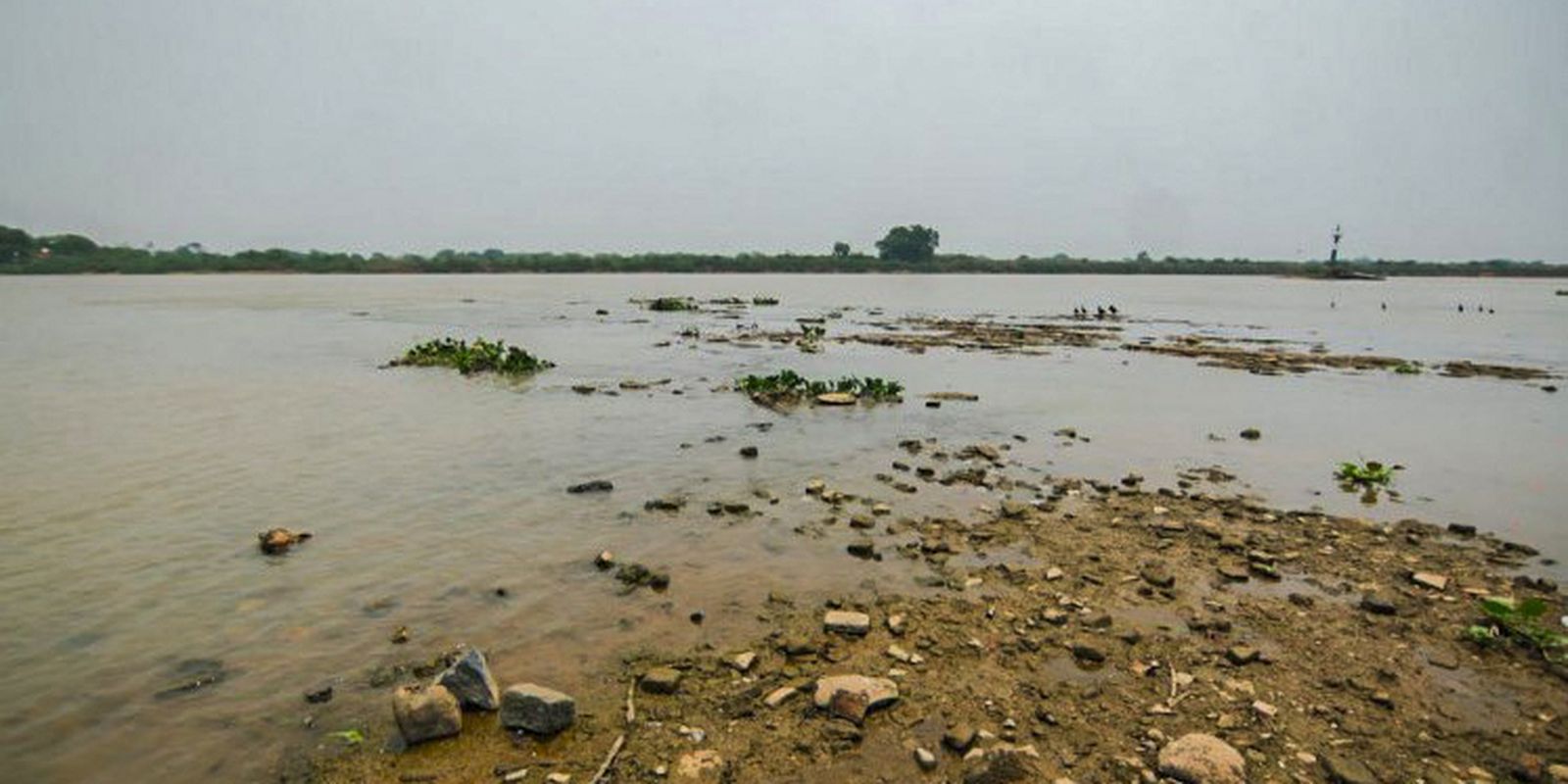 Paraguay River records historic low in driest year in Pantanal