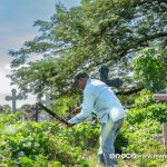 Regarding the Day of the Dead, mayors budget for the maintenance of cemeteries but most hide it