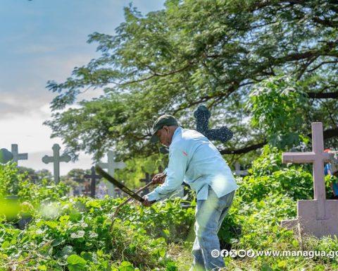 Regarding the Day of the Dead, mayors budget for the maintenance of cemeteries but most hide it