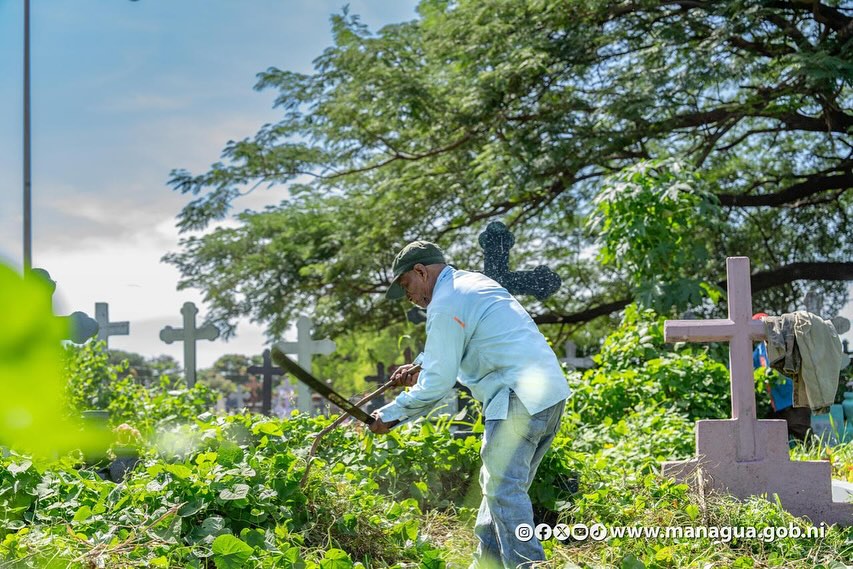 Regarding the Day of the Dead, mayors budget for the maintenance of cemeteries but most hide it