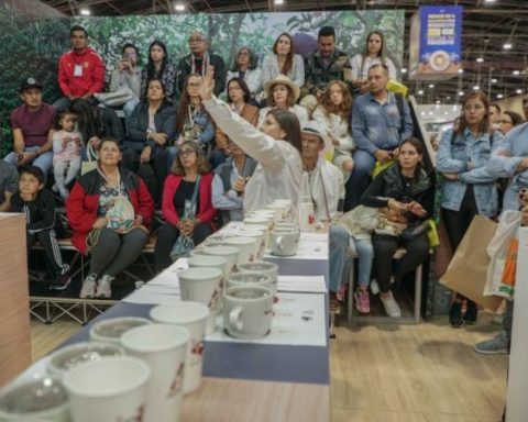 Specialty coffees could be the engine of Colombian rural development