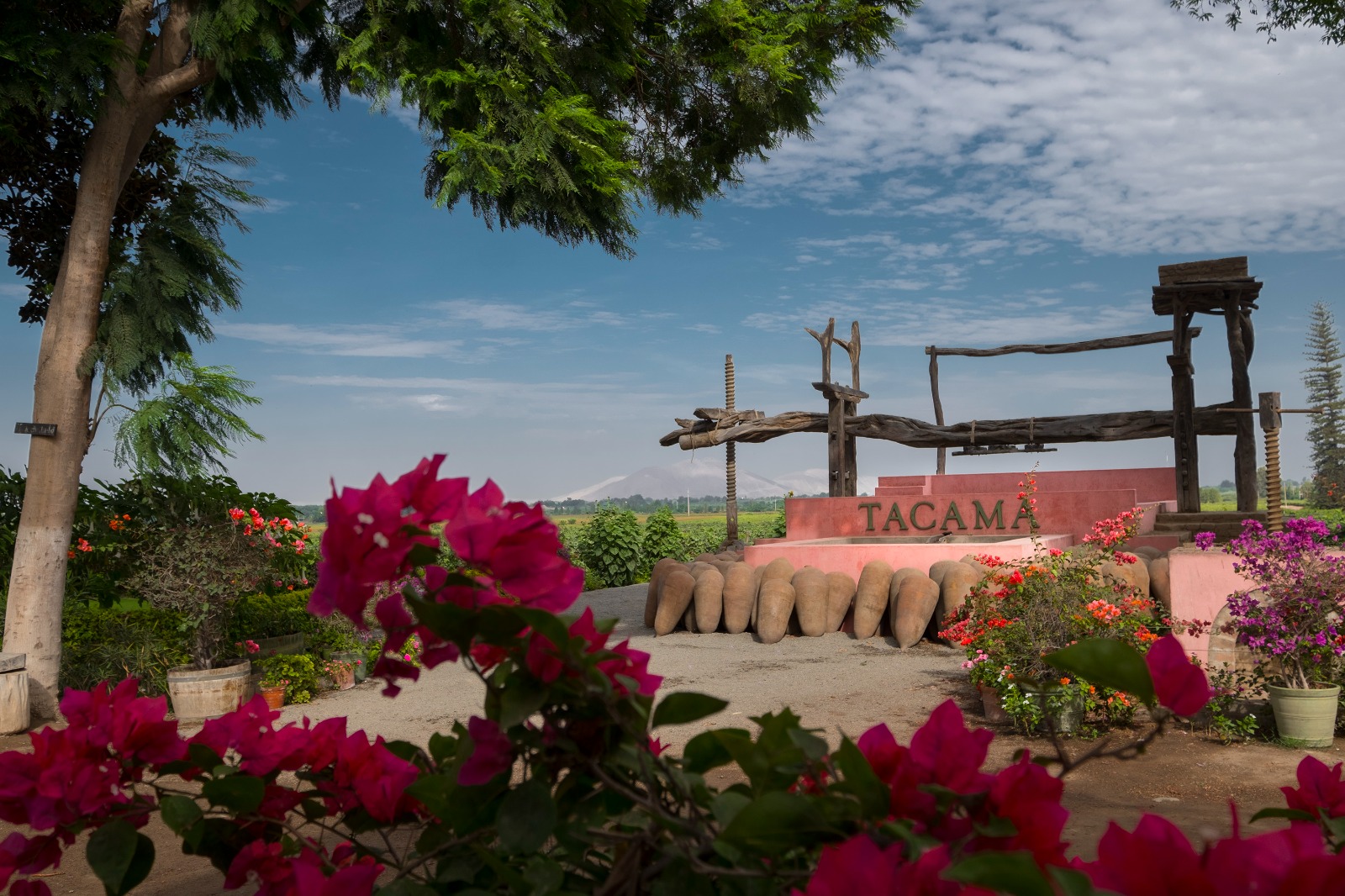 RESTAURANTE TAMBO DE TACAMA