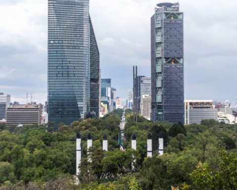 The CDMX fight against a real estate company for the Bosque de Chapultepec