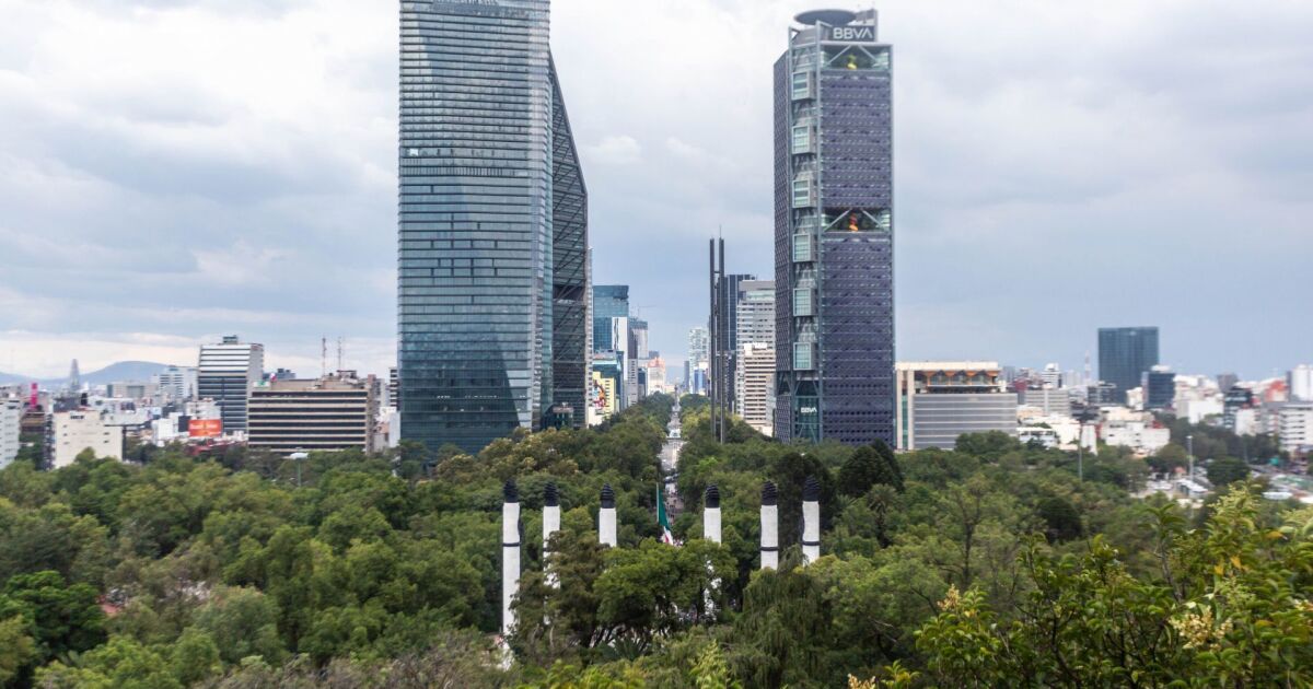 The CDMX fight against a real estate company for the Bosque de Chapultepec