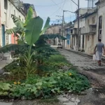 "Huerto" en un bache de la calle Santa Teresa, en el Cerro, La Habana