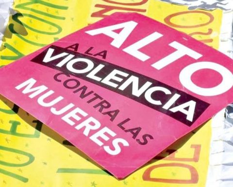 En lo que va de 2024 los observatorios independientes han verificado 42 feminicidios