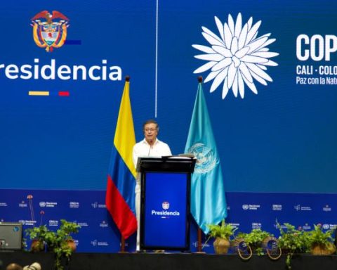 'The extinction of biodiversity and life has begun': Petro, at COP16