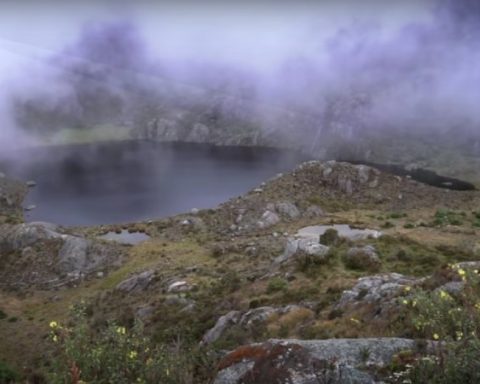 The importance of conserving the paramos in Colombia: they quench the thirst of millions of Colombians