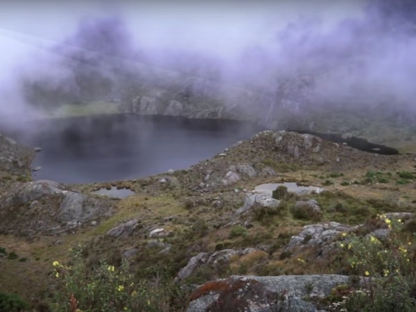 The importance of conserving the paramos in Colombia: they quench the thirst of millions of Colombians