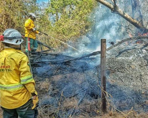 The number of families affected by the fires in Santa Cruz reaches 4,000