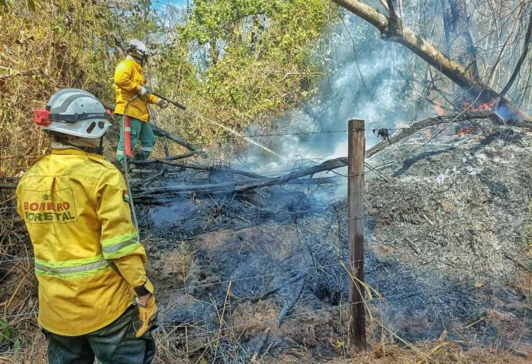 The number of families affected by the fires in Santa Cruz reaches 4,000