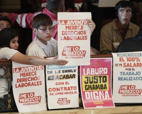 These are the eight new articles that were approved to enter the labor reform