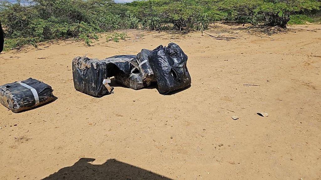 They find 45 panels of cocaine on a beach