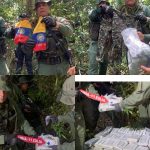 They incinerate 980 kilos of seized cocaine