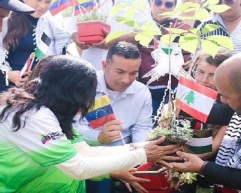 Siembran árboles en Parque Hugo Chávez en solidaridad con Palestina