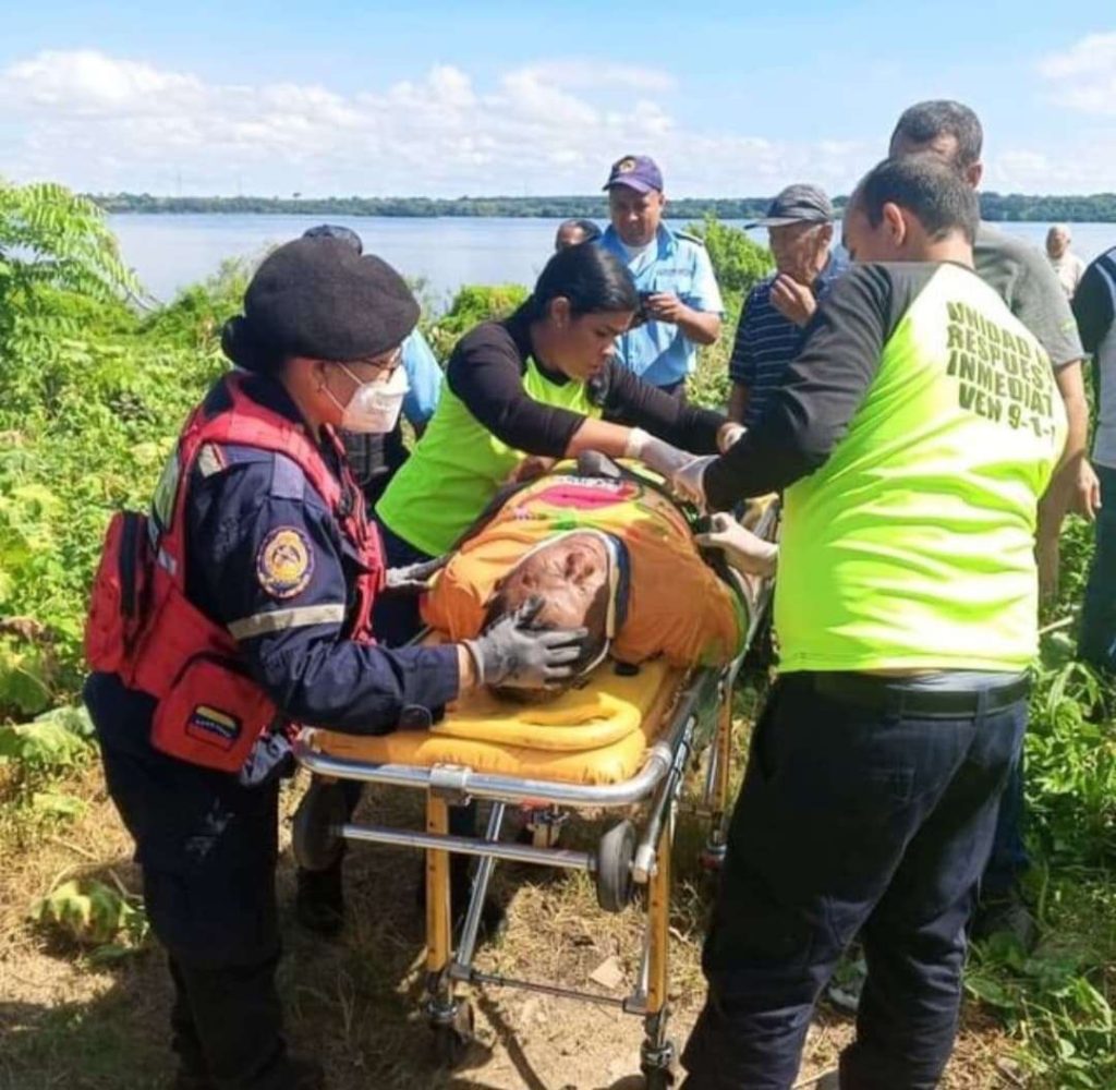 They rescue alive a man who fell on the Caroní bridge