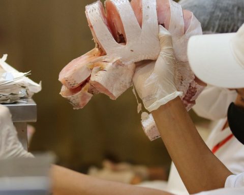 USA reduces bureaucracy to buy Brazilian fish