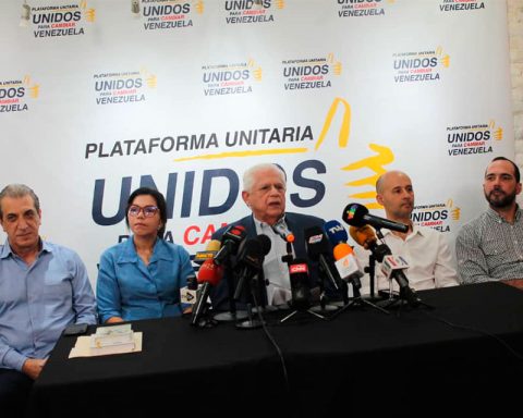 Unitary Platform appreciates the support "for the democracy of our country"