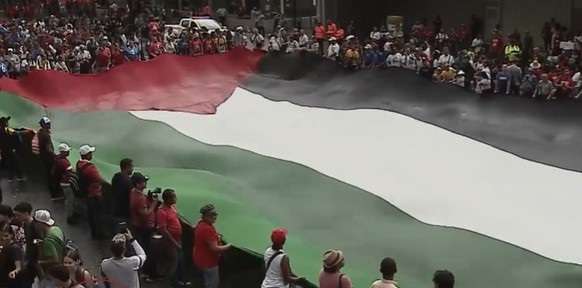 Venezuelans mobilize in solidarity with Palestine