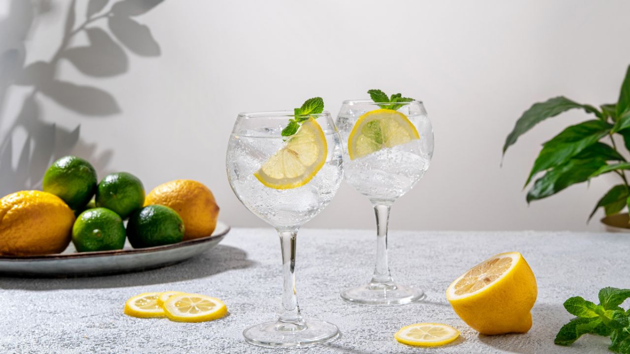 What is the best Chilean gin in the world, according to an important international ranking