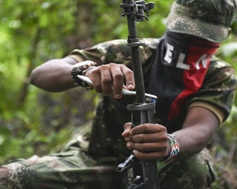 13 members of the ELN die in public force operations